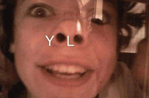 you only YOLO once